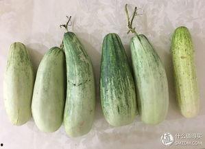 伪装的微笑吃瓜,一场吃瓜群众的狂欢