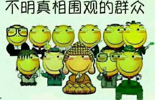 st吃瓜群众的博客,揭秘娱乐圈幕后故事